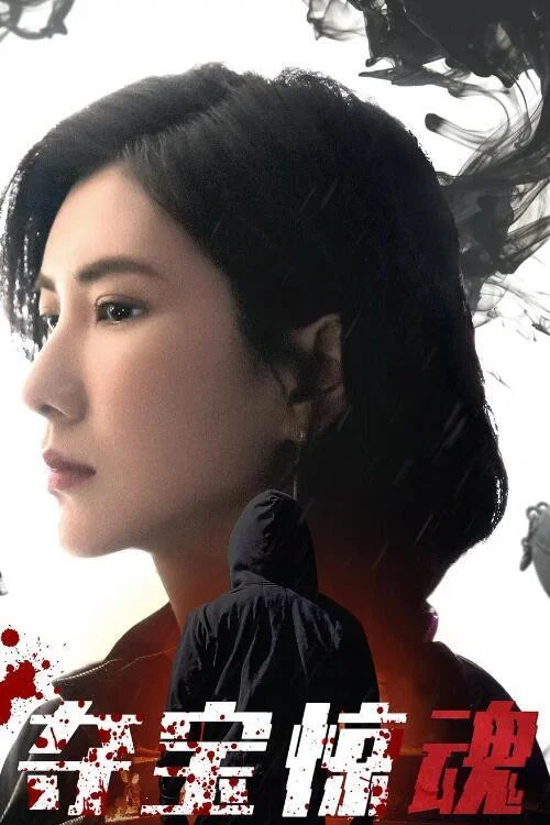 夺宝(2020)海报