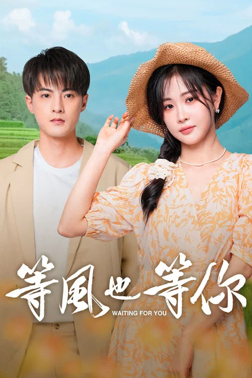 等风也等你剧照2