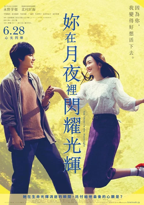 你在月夜里闪耀光辉(2019)海报