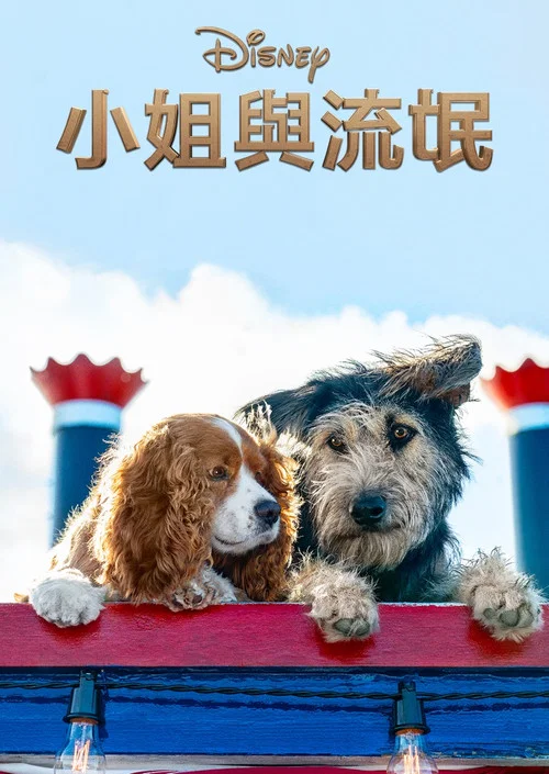 小姐與流浪漢(2019)海報