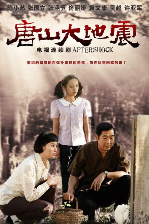 唐山大地震2013(2013)海报