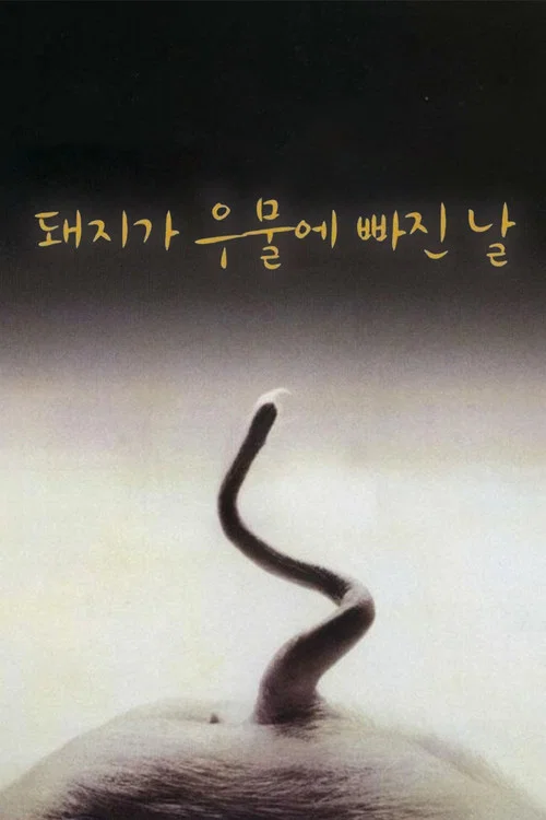 猪堕井的那天(1996)海报