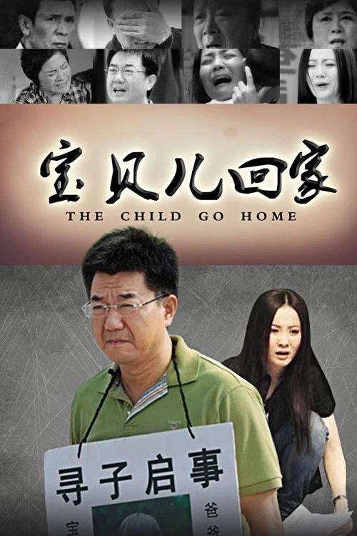 寶貝兒回家(2014)海報