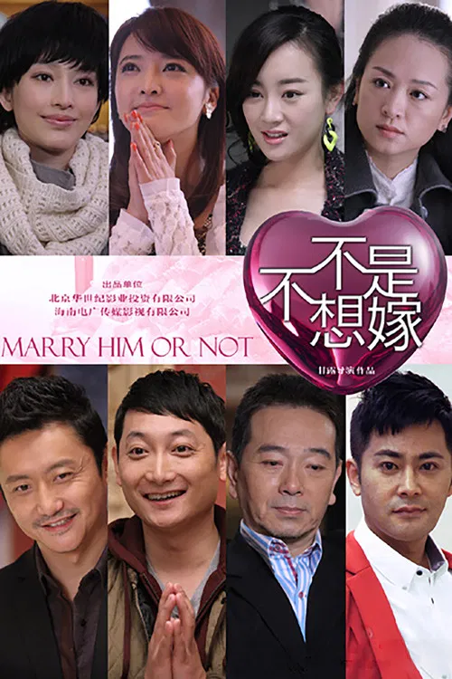 不是不想嫁(2014)海報