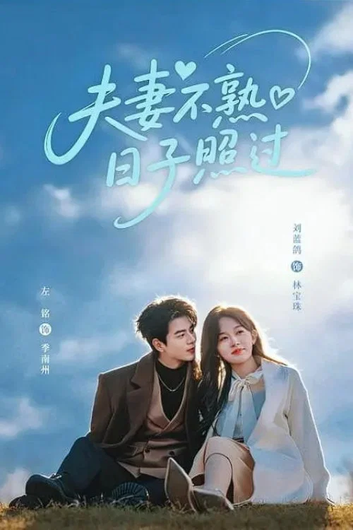 夫妻不熟,日子照过(2026)海报