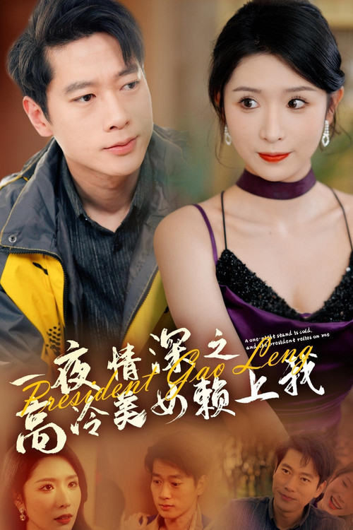 一夜情深之高冷美女賴上我(2025)海報