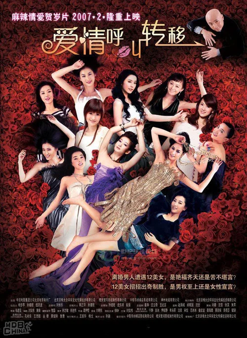 爱情呼叫转移(2007)海报