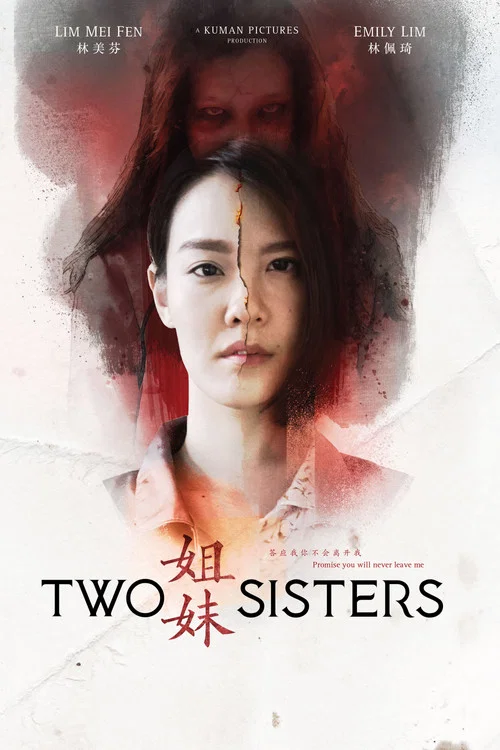 姐姐妹妹(2019)海報