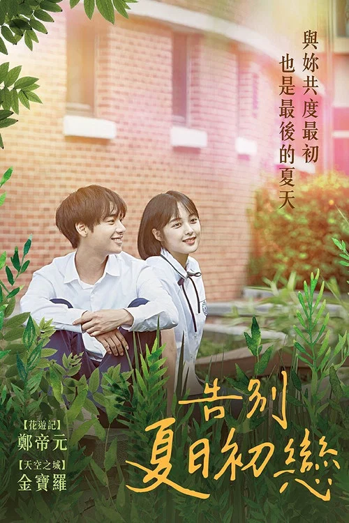 再見夏天(2019)海報