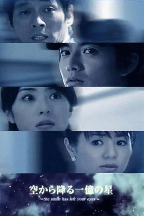 从天而降的一亿颗星星(2002)海报