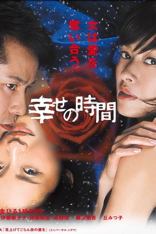 幸福的時光(2012)海報