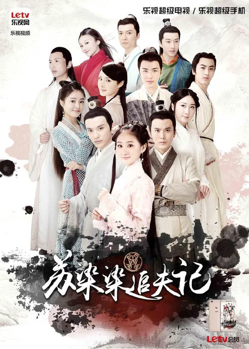 蘇染染追夫記(2016)海報