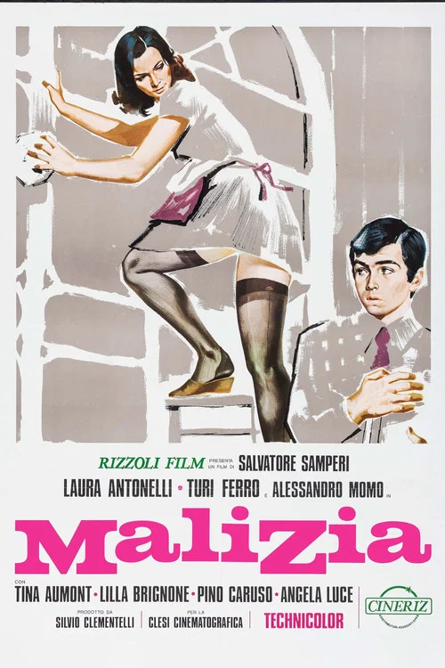 青澀體驗(1973)海報