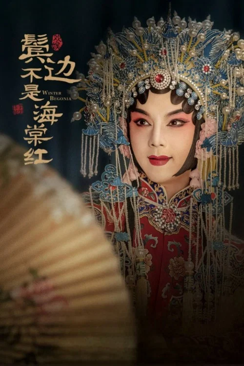 海棠不是鬓边红剧照3