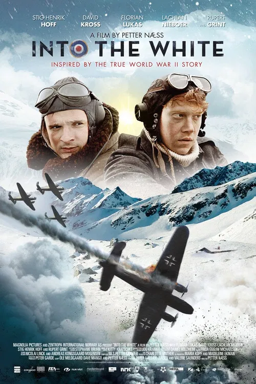 白色嚴冬(2012)海報