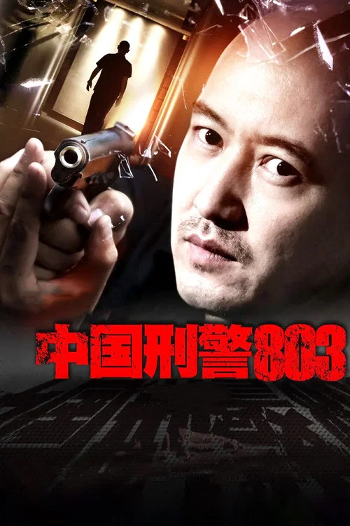 中國刑警803劇照2
