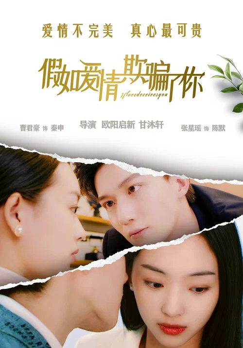 欺騙(2024)海報