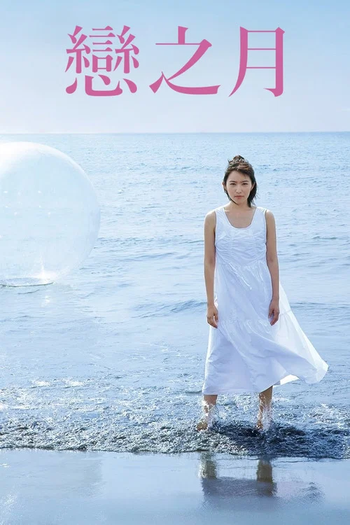 恋之运(2018)海报