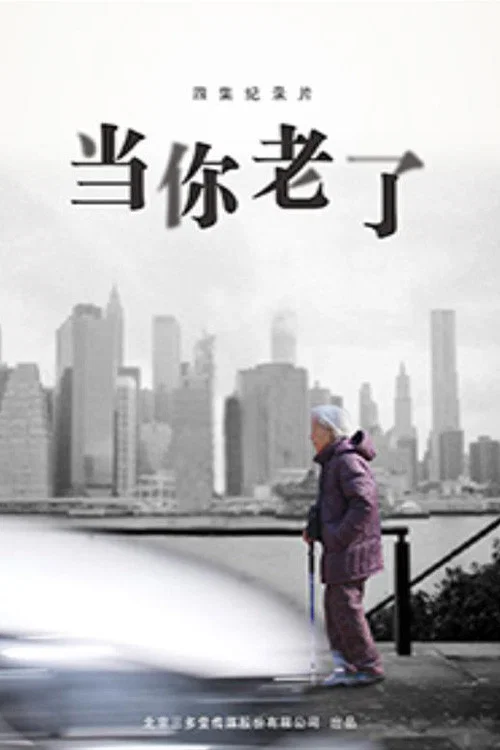 当你老了(2016)海报