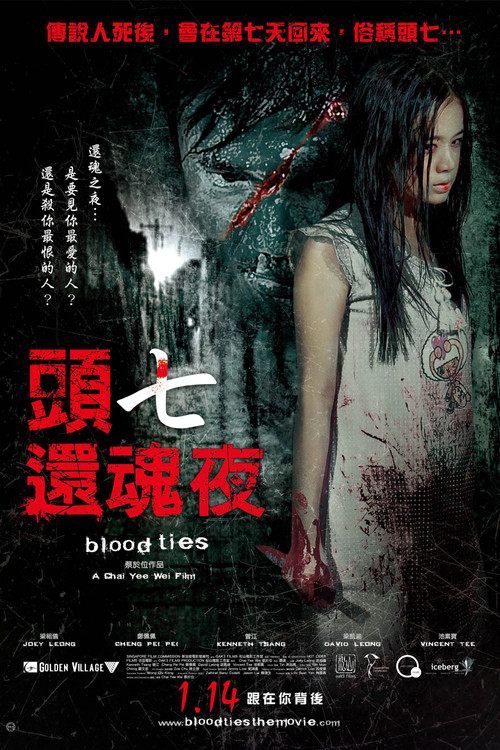 还魂(2009)海报