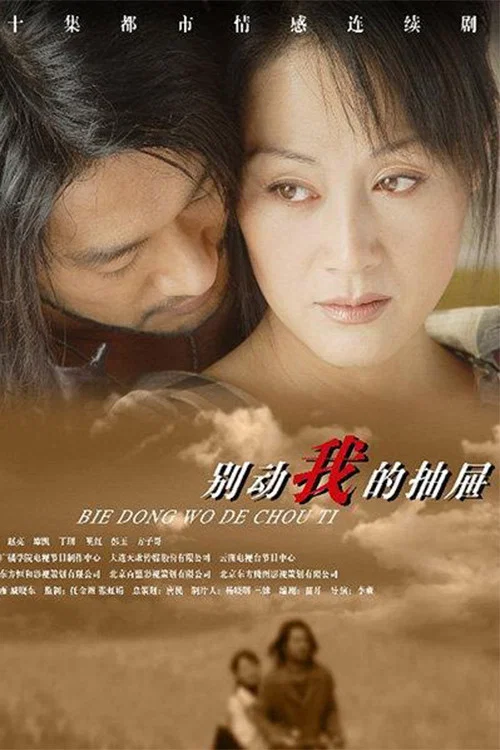 别动我的抽屉(2003)海报