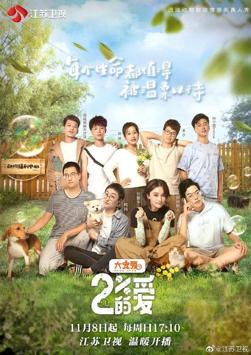 百分之二的爱(2020)海报