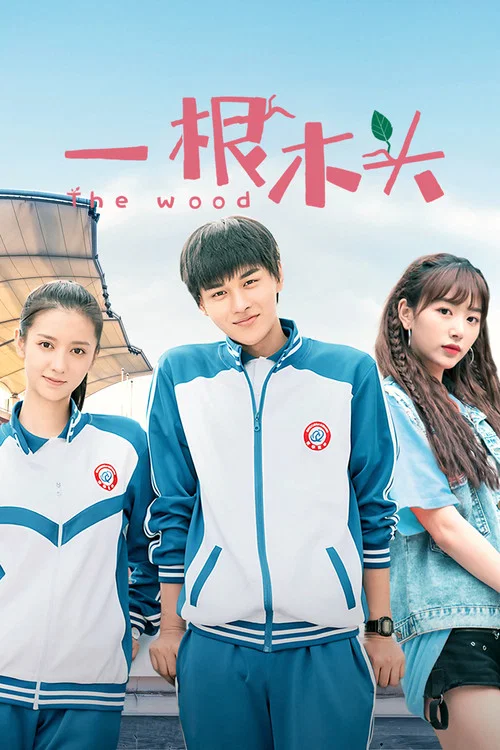 一根木頭(2020)海報