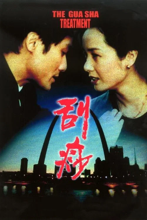 刮痧(2001)海报
