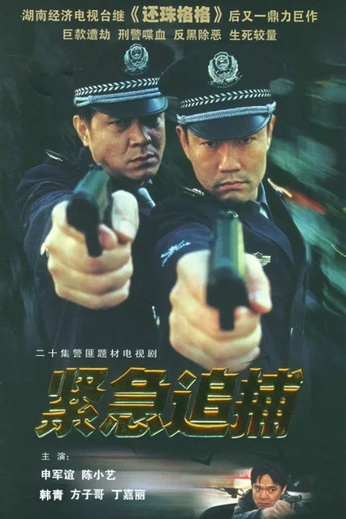 緊急追捕(2002)海報