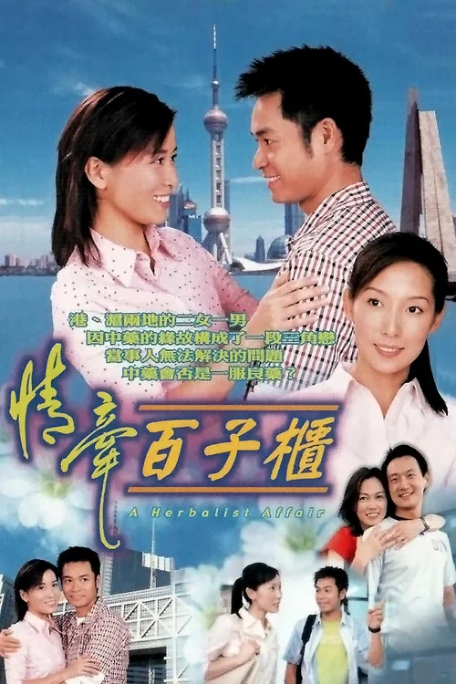 情牽百子櫃(2002)海報