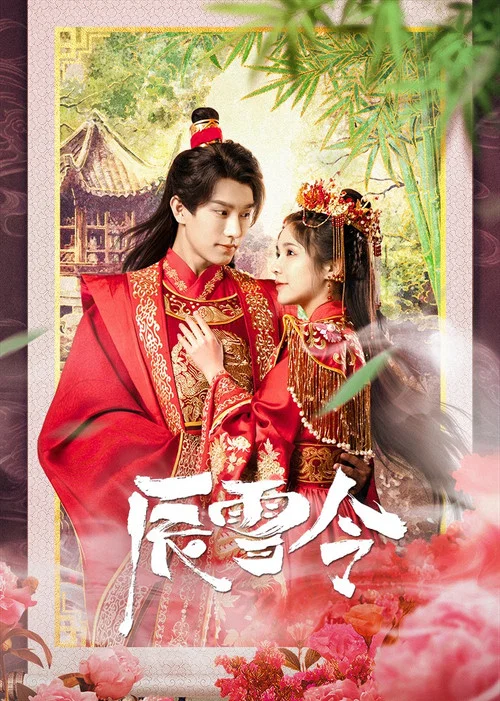 辰雪令(2023)海報