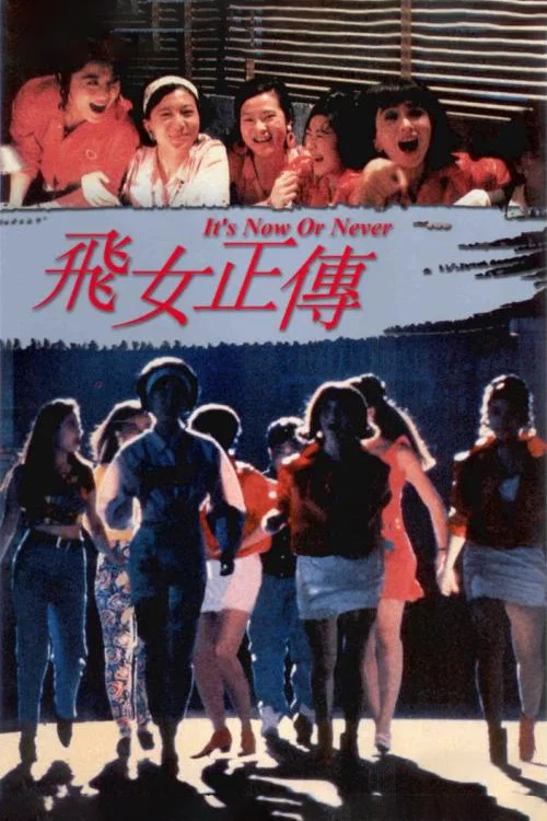 飛女正傳(1992)海報