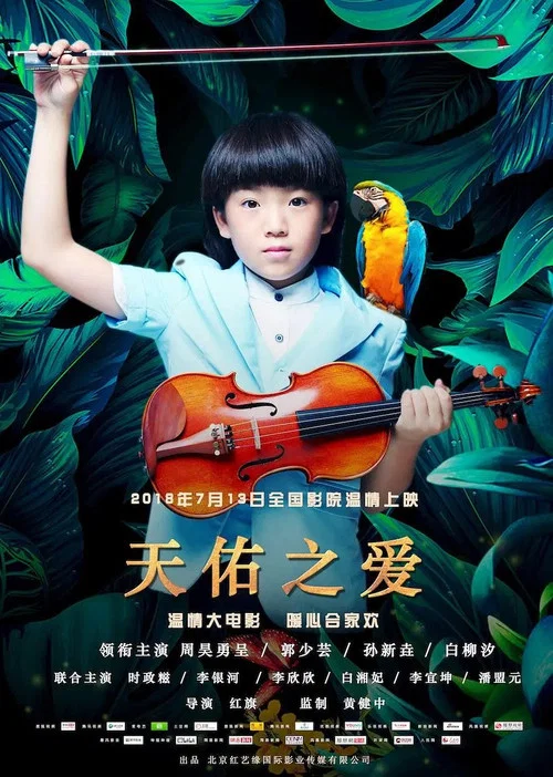 天佑之愛(2018)海報