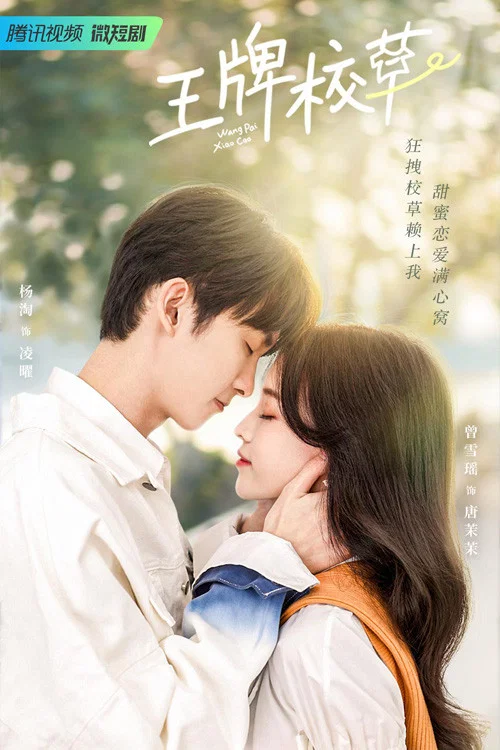 王牌校草(2022)海報
