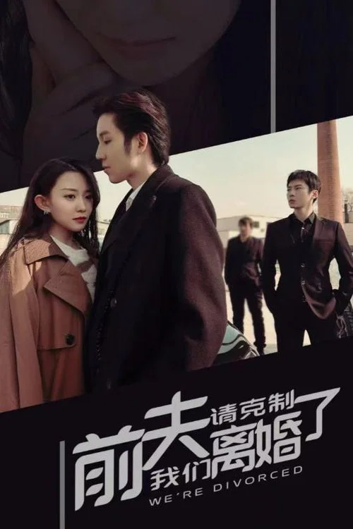 前夫請剋制,我們離婚了(2024)海報