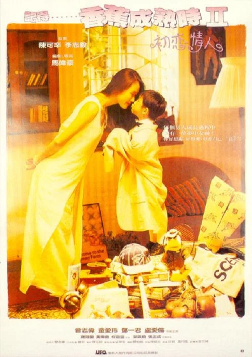 成人记2(1994)海报