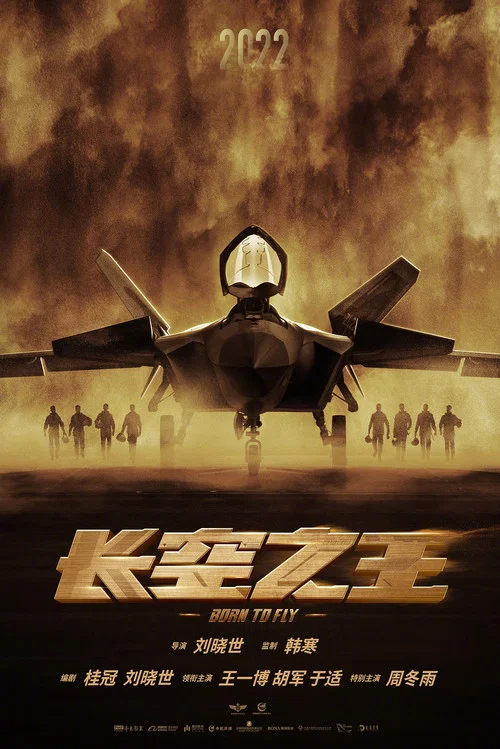 長空之王劇照7