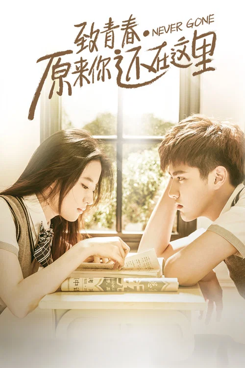 致青春·原來你還在這裡(2016)海報