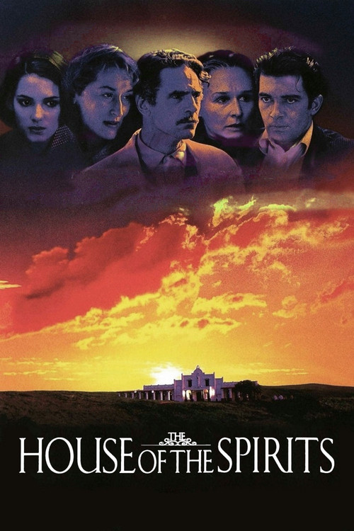 金色豪门(1993)海报