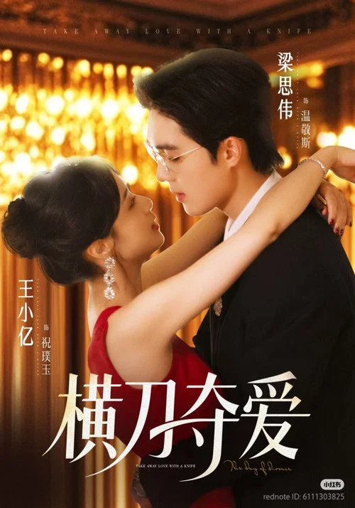 夺爱(2025)海报