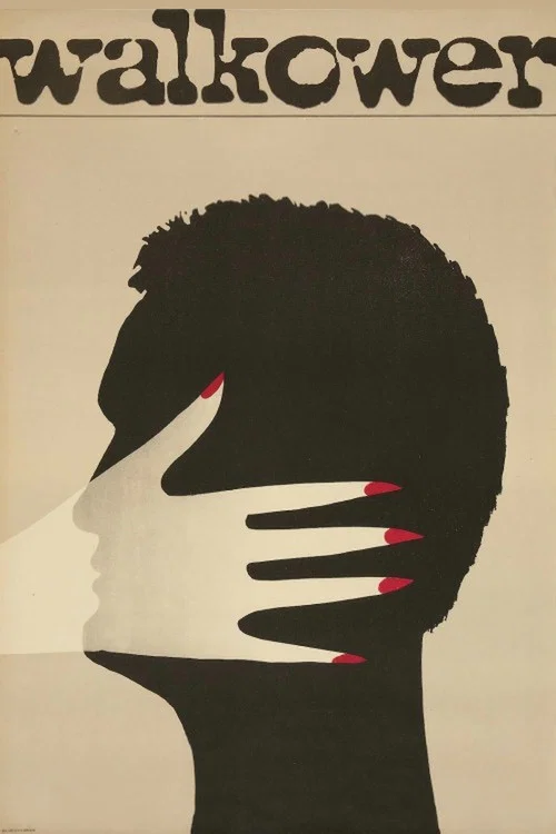 轻取(1965)海报