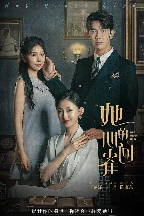 她的心间雀(2024)海报