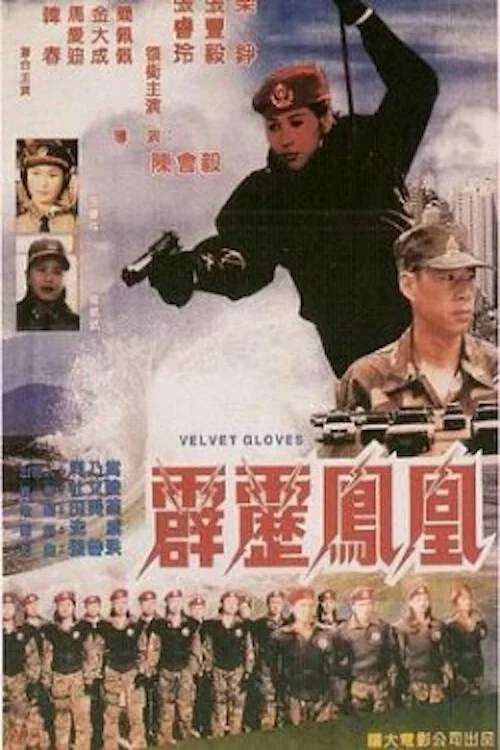 霹雳凤凰(1996)海报