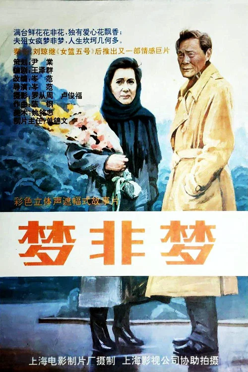 夢非夢(1993)海報