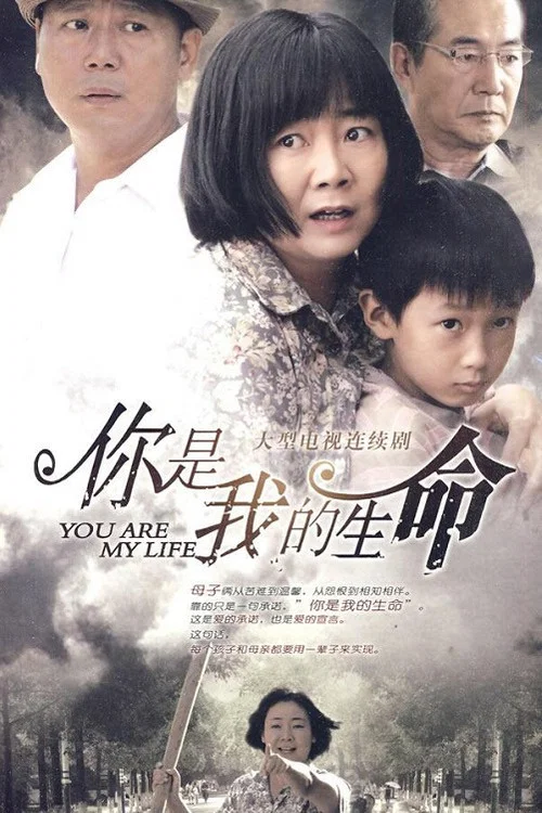 你是我的命(2010)海報
