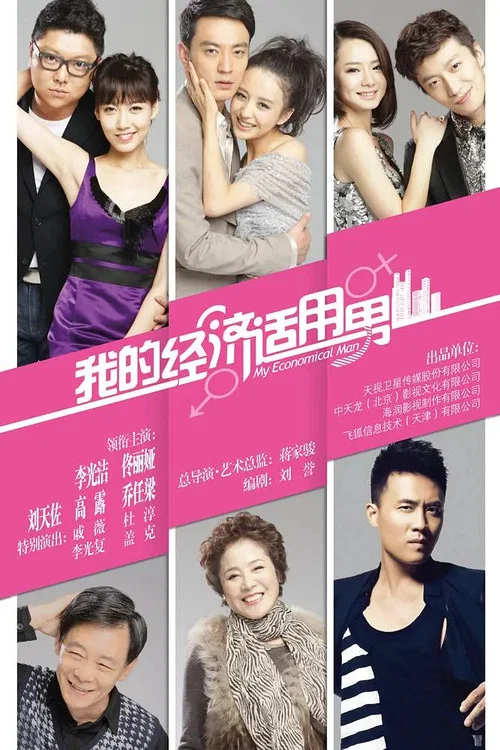 我的經濟適用男(2012)海報