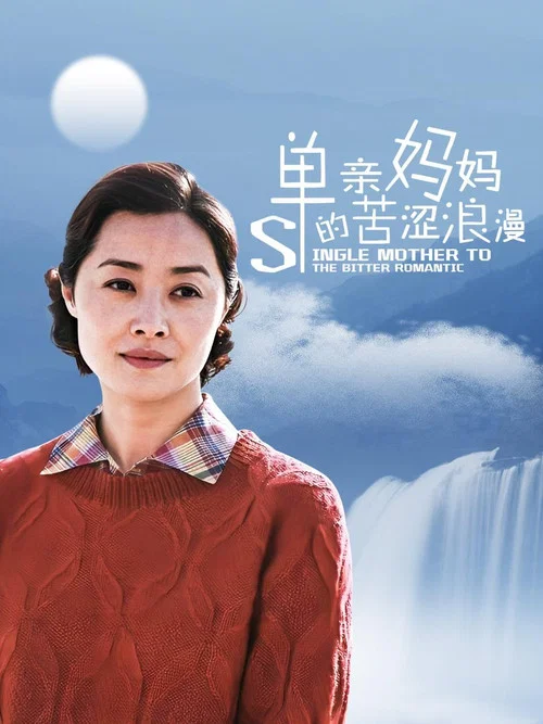 单亲妈妈的苦涩浪漫(2010)海报