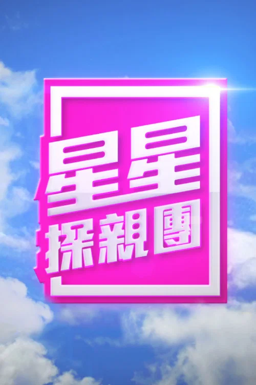 星星探親團(2016)海報