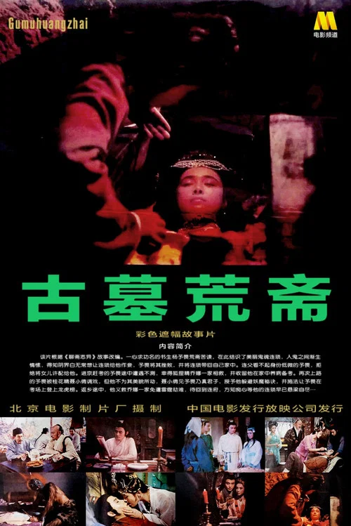 古墓荒斋剧照4