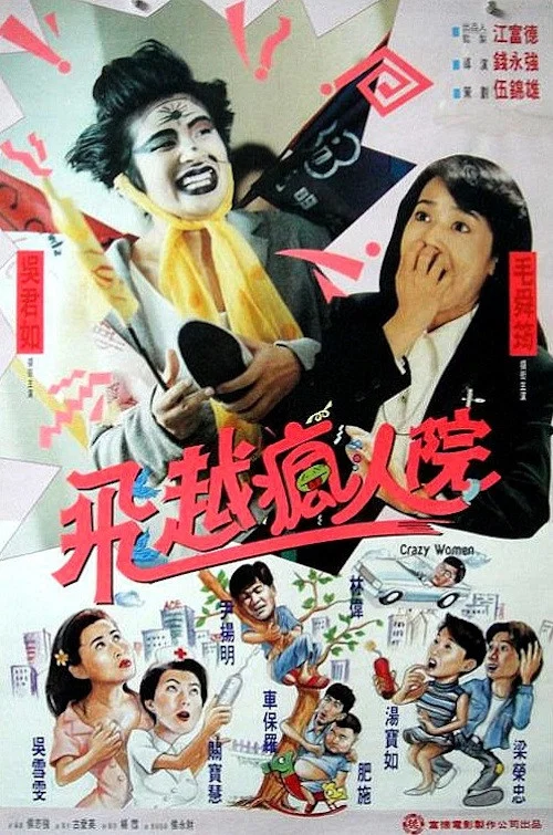 傻大姐翻轉瘋人院(1993)海報